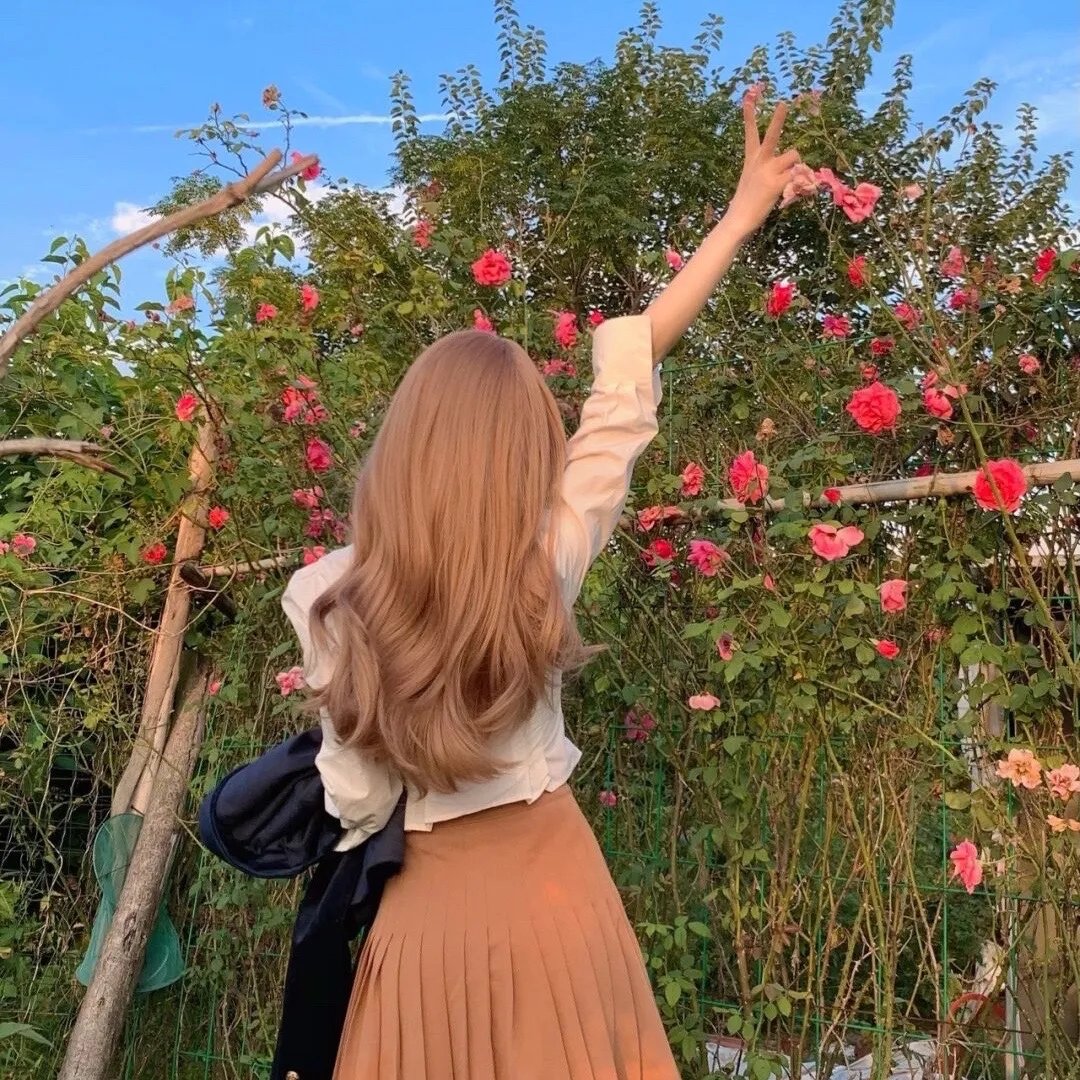 饿狼传:孤狼之道